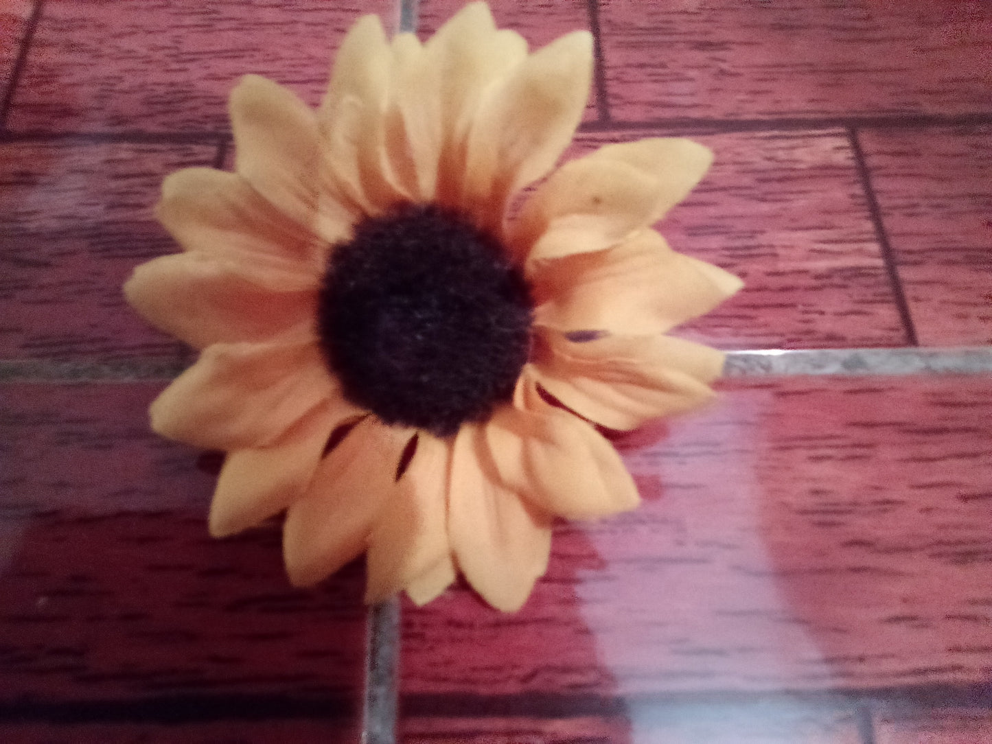 Sunflower 🌻